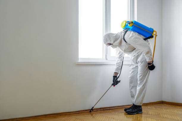 Best Pest Prevention Services  in Westlake Vlage, IL